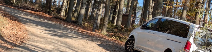 Auto am Rande eines Forstweges, Wienerwald