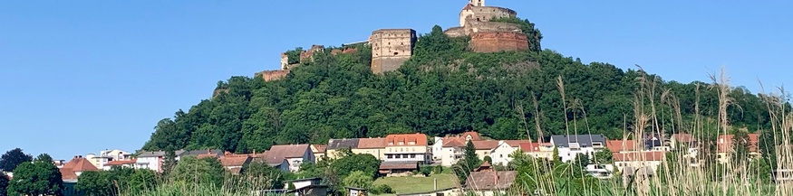 Güssing und Fischteich