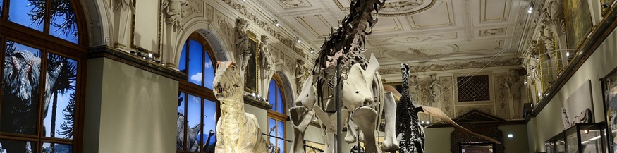 Sauriersaal im NHM