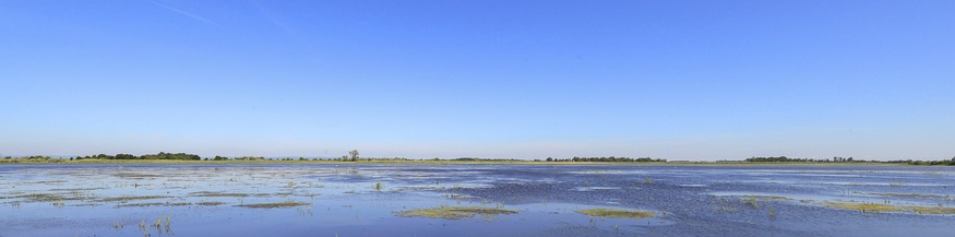 Nationalpark Neusiedler See - Seewinkel