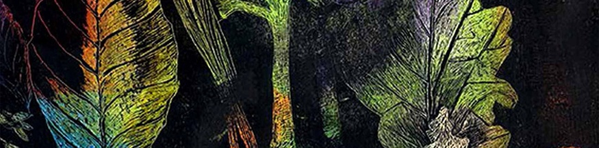 "Sieben. Die Schöpfung" von Linda Wolfsgruber, Ausschnitt des Buchumschlags