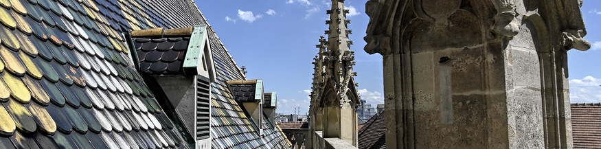 Dach des Stephansdom