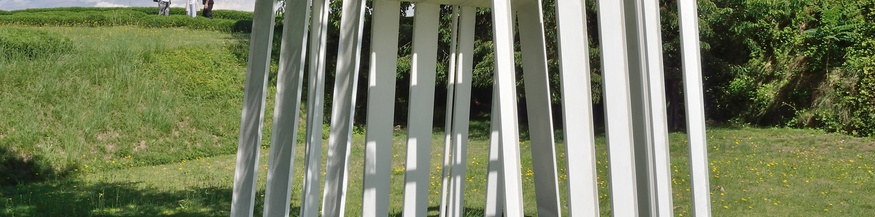 Manfred Erjautz: "The Silent Cell"