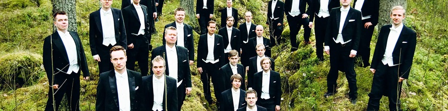 YL Male Choir