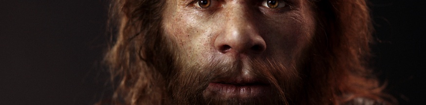 Rekonstruktion eines Neanderthalers