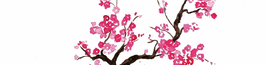 Gemalte Kirschblüte, Ausschnitt des Buchumschlags