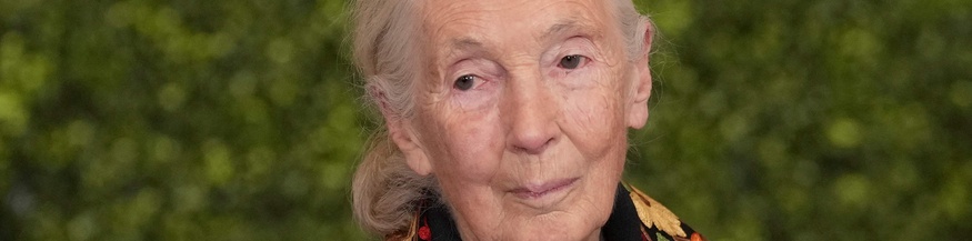 Jane Goodall