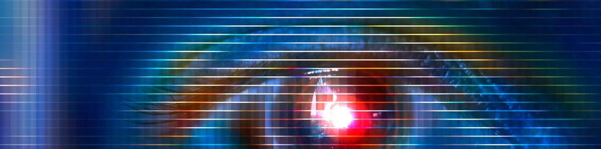 Biometrisches Auge