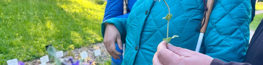 Mann hält Blume, dahinter Frau mit Blindenstock im botanischen Garten