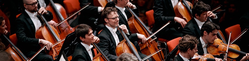 Royal Concertgebouw Orchestra