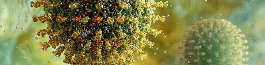 Influenza-Virus, Illustration