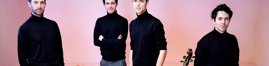 Vision String Quartet