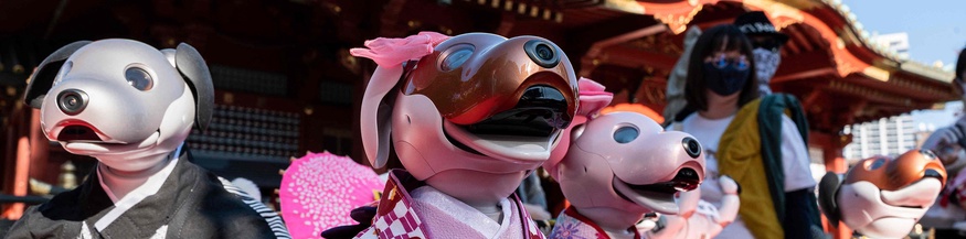 Kanda Myojin Schrein: Hunderoboter