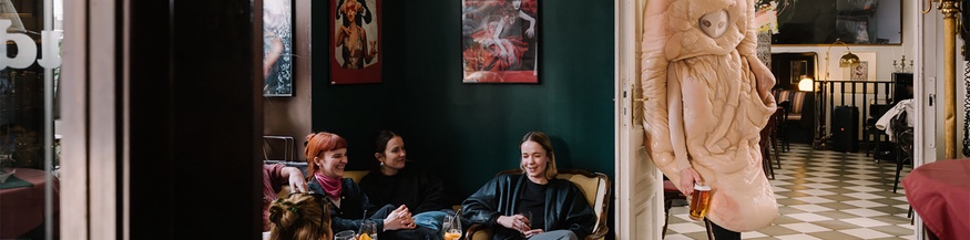 Das Wiener Volksohr, Sujet