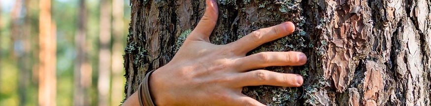 Mann umarmt Baum