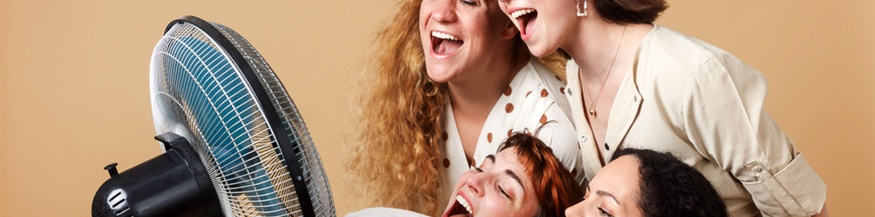 Wiener Vokalquartett HALS