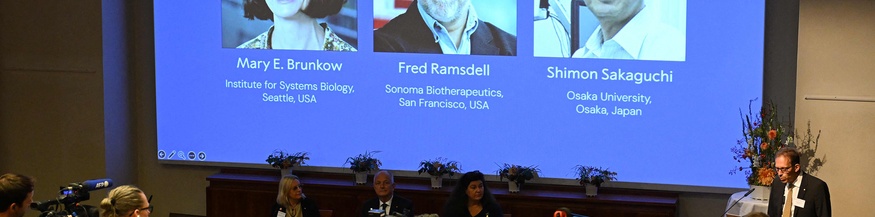 Nobelpreis der Medizin 2025: Mary E. Brunkow, Fred Ramsdell, Shimon Sakaguchi