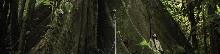 "Explorative and Compositional Spaces for Fragments of Extinction" von David Monacchi, 2021