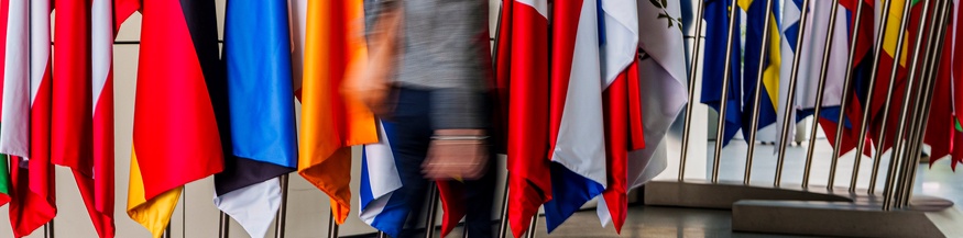 Frau geht vor europäischen Fahnen