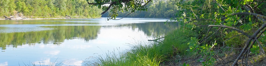 Der Donau-Oder-Kanal in der Wiener Lobau, Nationalpark Donau-Auen