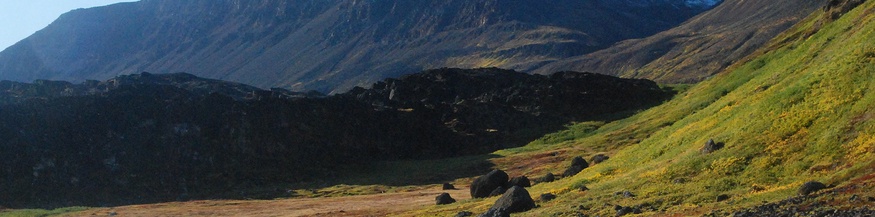 Herbststimmung - Tundra auf der Diskoinsel in Westgrönland