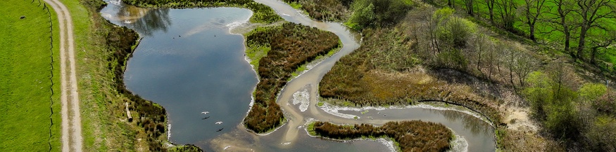 Renaturierter Bachlauf in Deutschland: grüne Wiese, Bäume und Wasser