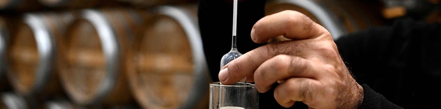 Cognacprobe in Frankreich