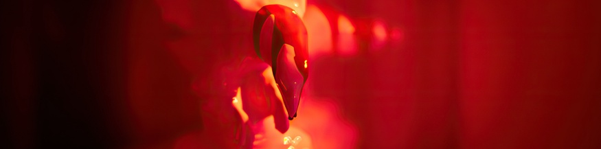 "BAROGUE birds" von Marko Ciciliani