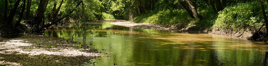 Kleiner Nebenbach des Mississippi