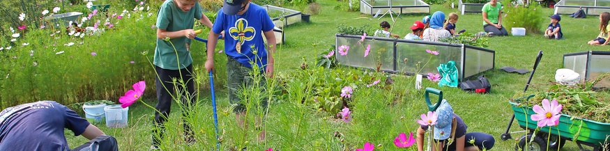 Kinder City Farm