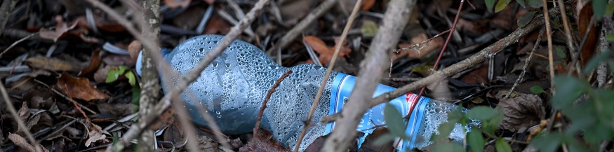 Pflastikflasche im Wald