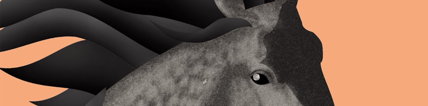 Gemaltes Pferd, Ausschnitt des Buchcovers