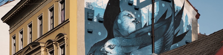 Vögel-Graffiti an Hauswand