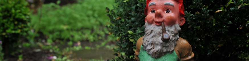 Ein Gartenzwerg in einem Schrebergarten.