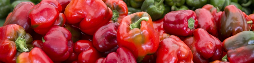 Rote und grüne Paprika