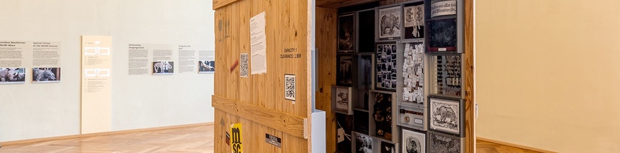 "Freighted - Verfrachtet. 500 Jahre Sammeln und Ausstellen von Nashörnern", Ausstellungsansicht