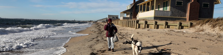 Eine Frau spaziert an der Küste des Cape Cod entlang.