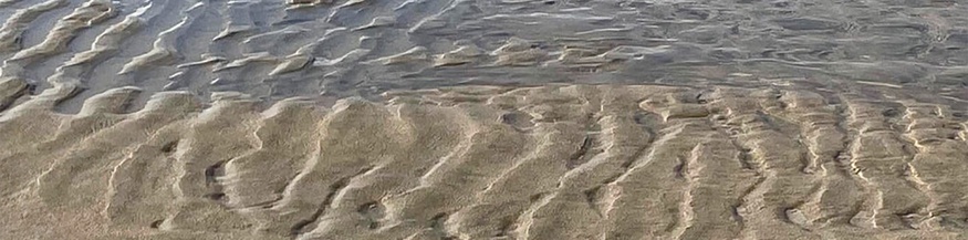 Wellige Wasserspuren im Sand, Ausschnitt des Covers "lost & found" von Erhart-Schwertmann/Aigner-Monarth