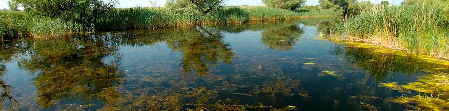 Donaudelta