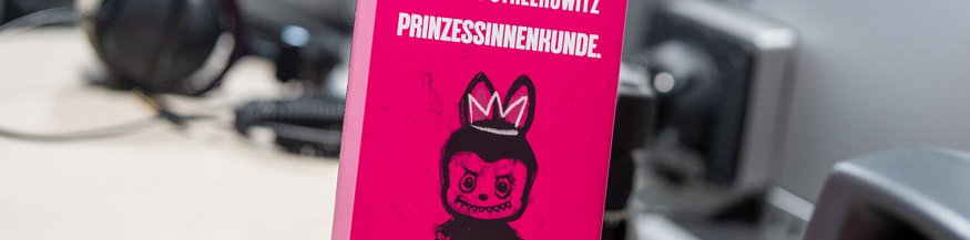 "Prinzessinnenkunde" von Marlene Streeruwitz