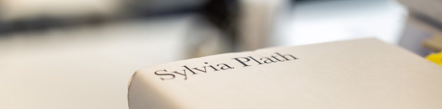 Buch von Sylvia Plath