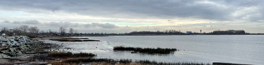 Kontinuum Projekt Waterline /Estuary Alamanc