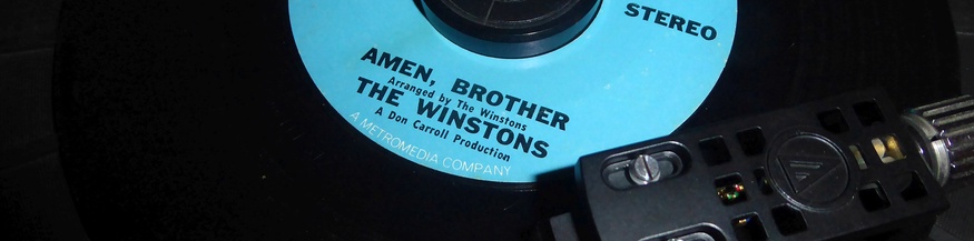 The-Winstons-Platte, Vinyl