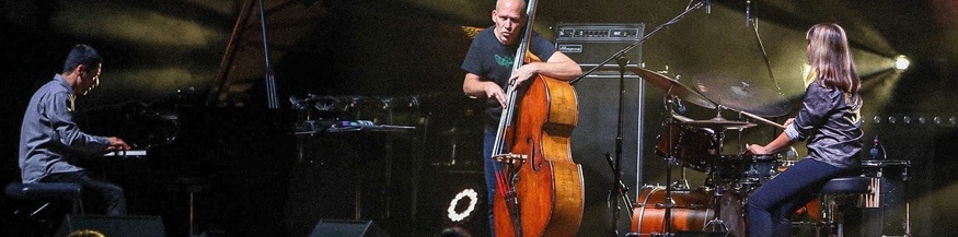 Avishai Cohen Trio