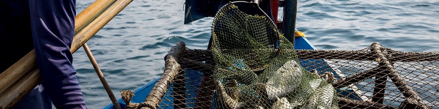 Fischer in Thailand auf einem Boot