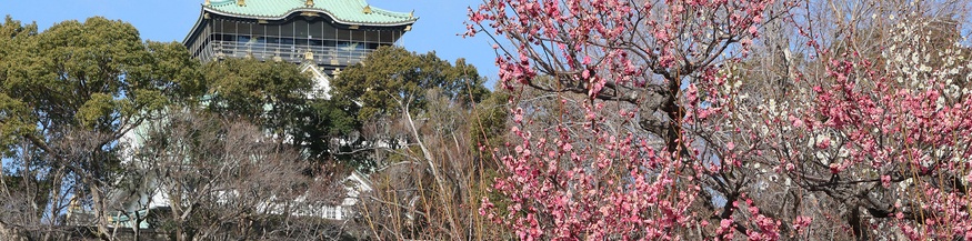 Schloss in Osaka