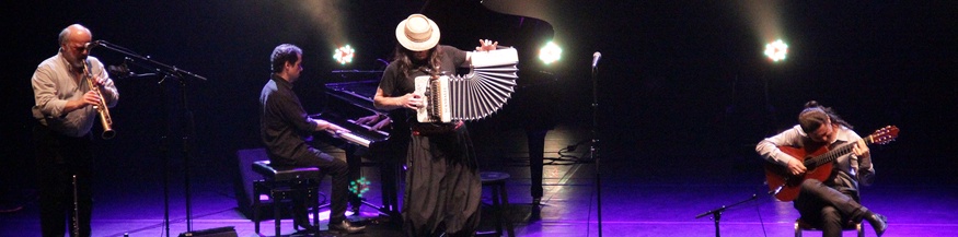 Renato Borghetti Quartett