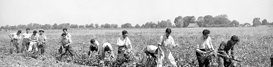 Mexikanische Feldarbeiter in Kalifornien, 1942