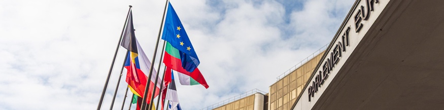 Zugang zum Europäischen Parlament in Straßburg, Fahnen