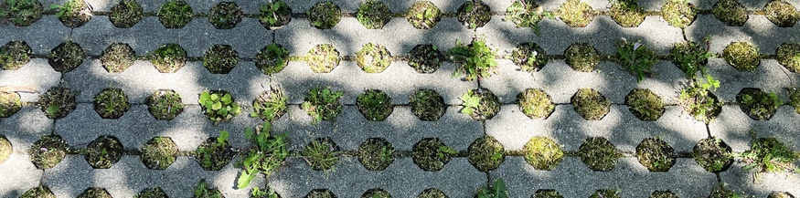 Gras wächst zwischen Beton